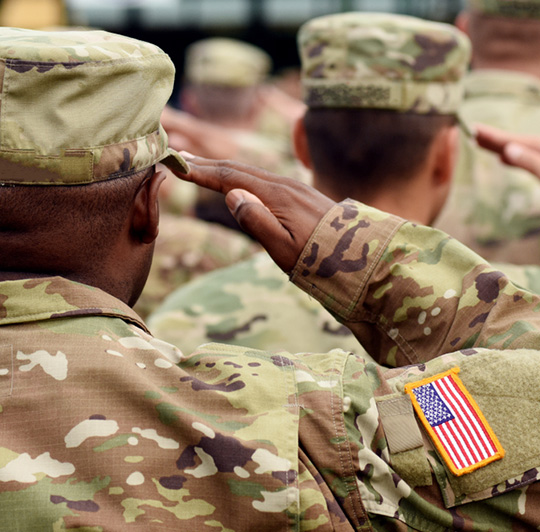 Our Military Veterans
