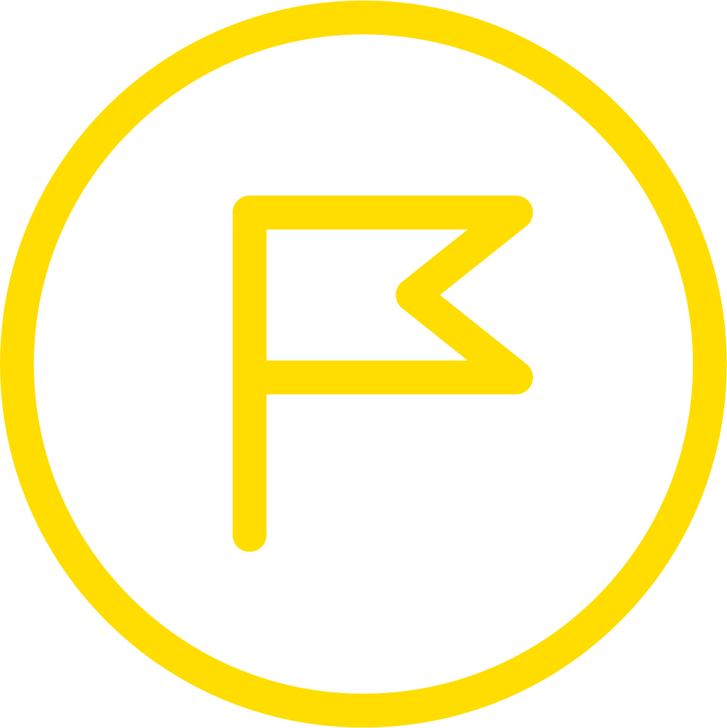 flag icon